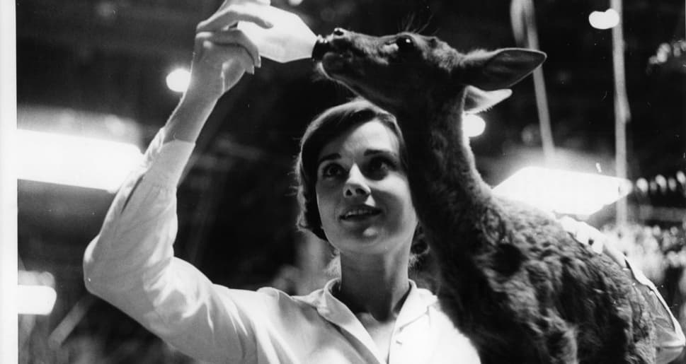 Personalitati celebre cu animale stranii