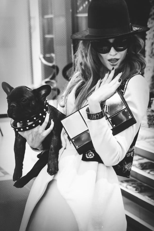 CELEBRITY french Bulldog