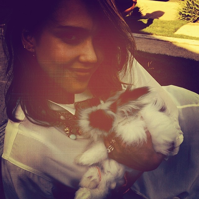 10277921_756616571038441_351957748131710250_n