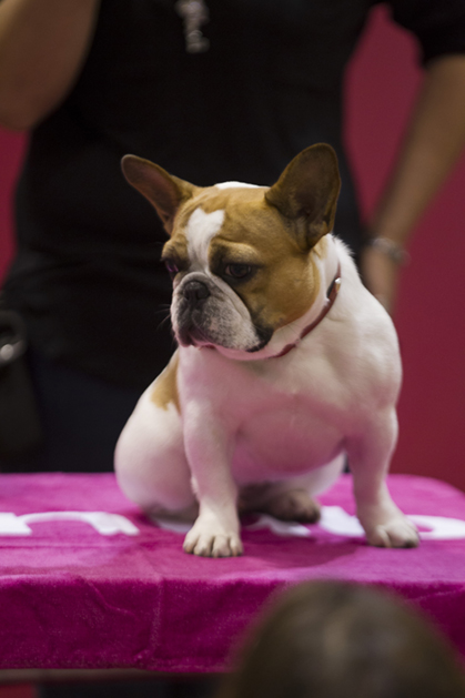 Stella-from-TV-show-Modern-Family