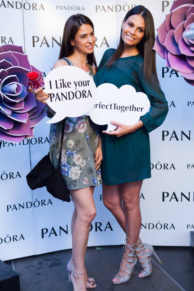 13886311_1017641778351723_6018216203991193649_n