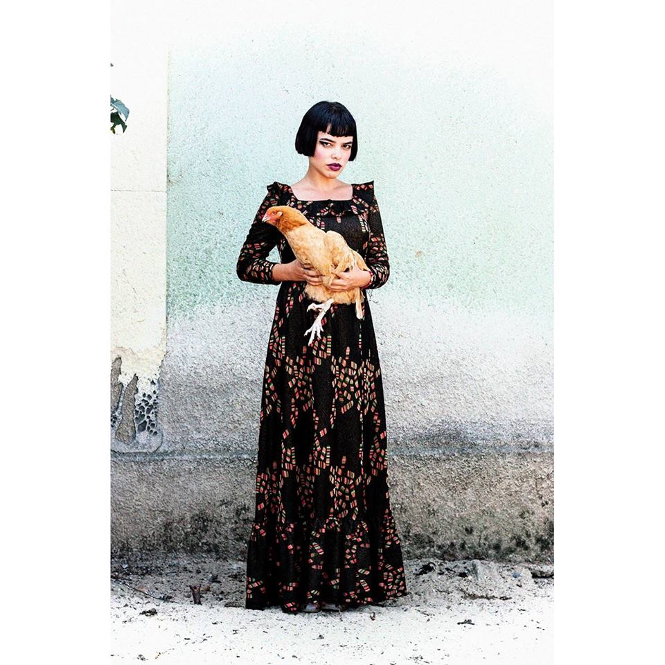 11924558_10153315868323509_1916629870404069160_n