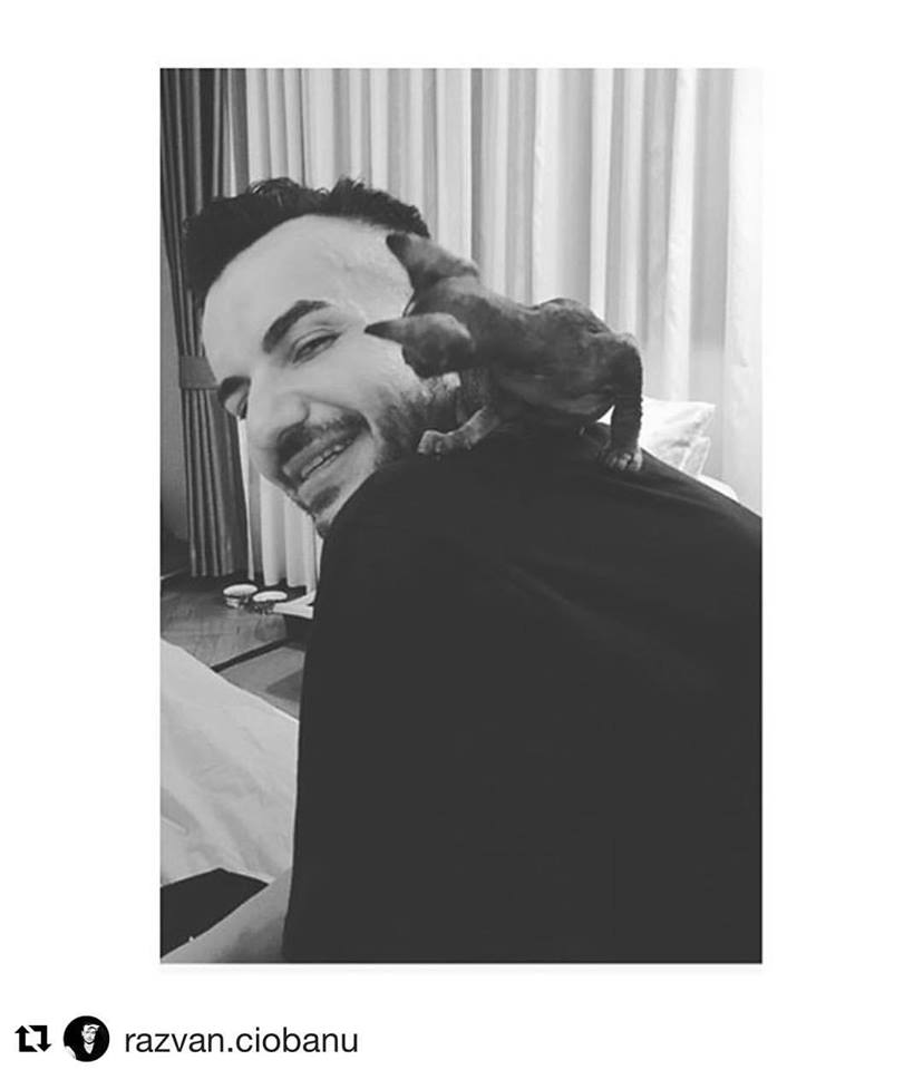 14606552_1183544161707178_6455331050969549508_n